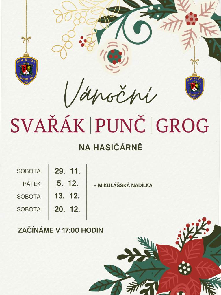 Vánoční svařák-punč-grog