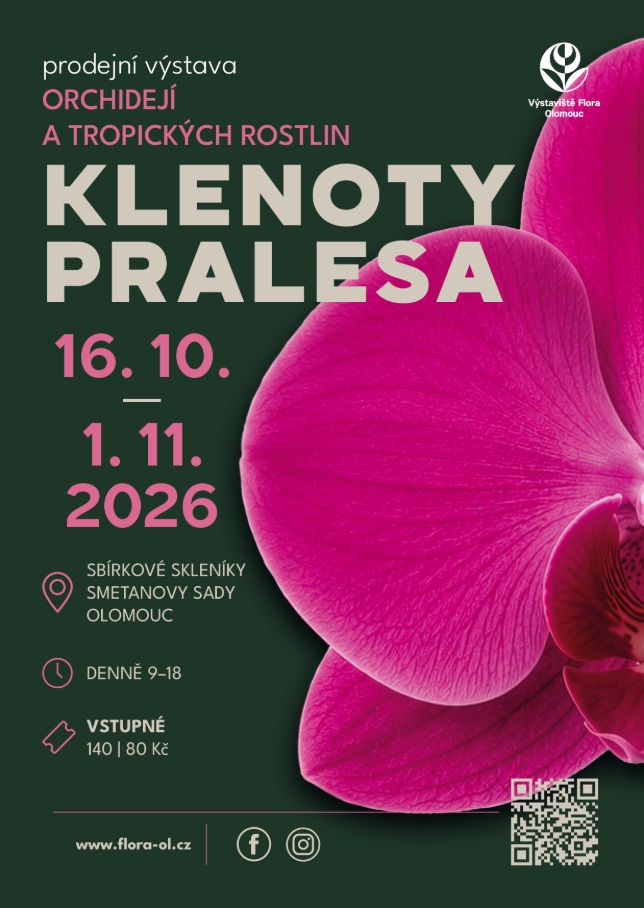 Klenoty pralesa